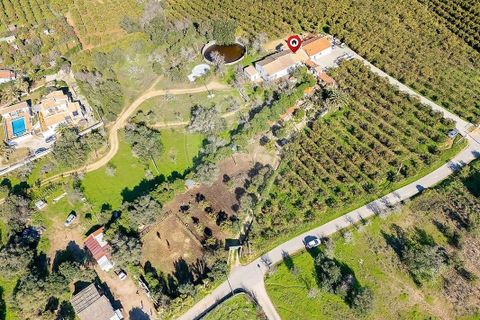 Farm hus i Lagoa, Faro, Lagoa - € 330.000 | Ref: 122881261-21 - foto 17