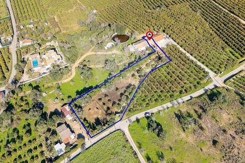 Farm hus i Lagoa, Faro, Lagoa - € 330.000 | Ref: 122881261-21 - foto 18