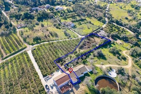 Farm hus i Lagoa, Faro, Lagoa - € 330.000 | Ref: 122881261-21 - foto 20