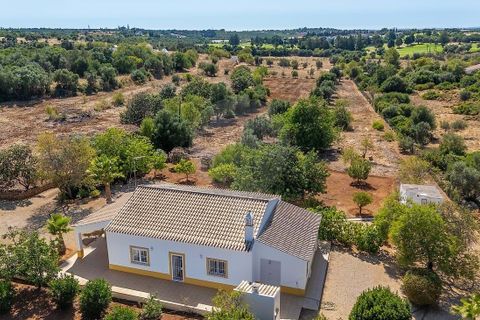 Farm hus i Silves, Faro, Silves - € 4.600.000 | Ref: 122881279-15 - foto 4