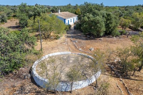 Farm hus i Silves, Faro, Silves - € 4.600.000 | Ref: 122881279-15 - foto 5
