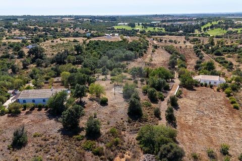 Farm hus i Silves, Faro, Silves - € 4.600.000 | Ref: 122881279-15 - foto 10