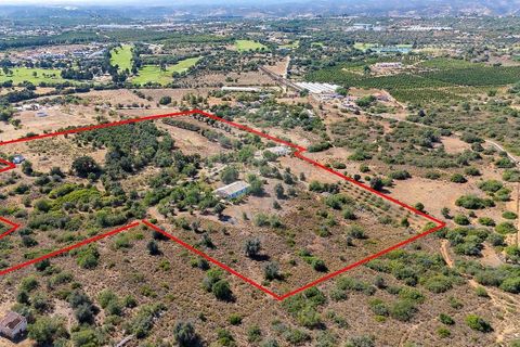 Farm hus i Silves, Faro, Silves - € 4.600.000 | Ref: 122881279-15 - foto 11