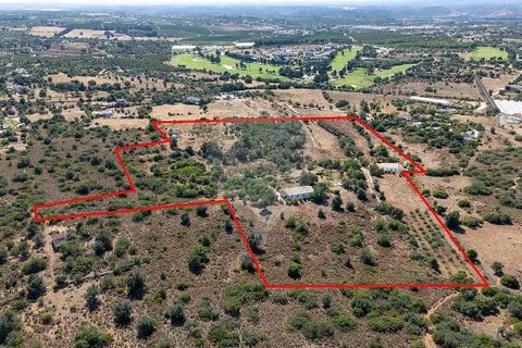 Farm hus i Silves, Faro, Silves - € 4.600.000 | Ref: 122881279-15 - foto 12