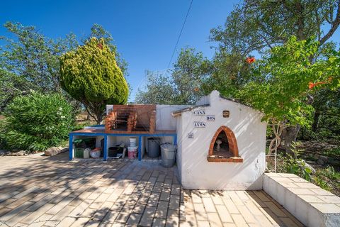 Farm hus i Silves, Faro, Silves - € 4.600.000 | Ref: 122881279-15 - foto 16
