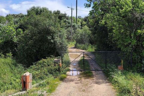 Farm hus i Lagoa, Faro, Lagoa - € 1.350.000 | Ref: 122881304-12 - foto 1