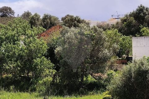 Farm hus i Lagoa, Faro, Lagoa - € 1.350.000 | Ref: 122881304-12 - foto 2