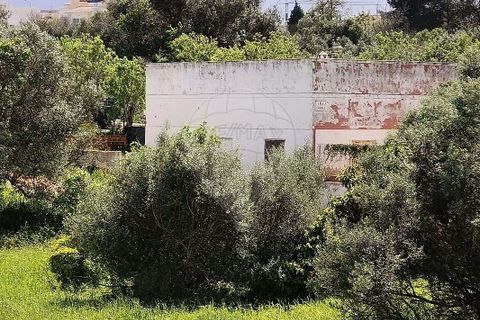 Farm hus i Lagoa, Faro, Lagoa - € 1.350.000 | Ref: 122881304-12 - foto 3