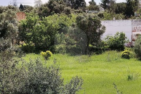 Farm hus i Lagoa, Faro, Lagoa - € 1.350.000 | Ref: 122881304-12 - foto 4