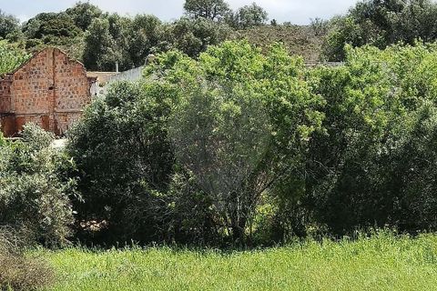 Farm hus i Lagoa, Faro, Lagoa - € 1.350.000 | Ref: 122881304-12 - foto 5