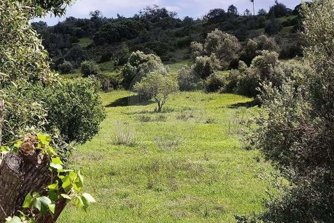 Farm hus i Lagoa, Faro, Lagoa - € 1.350.000 | Ref: 122881304-12 - foto 6