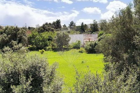 Farm hus i Lagoa, Faro, Lagoa - € 1.350.000 | Ref: 122881304-12 - foto 7