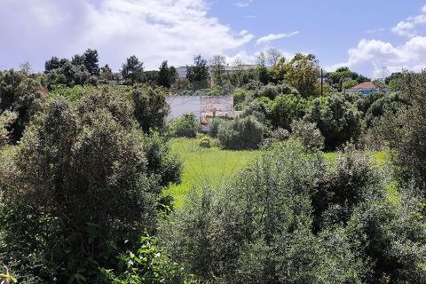 Farm hus i Lagoa, Faro, Lagoa - € 1.350.000 | Ref: 122881304-12 - foto 8