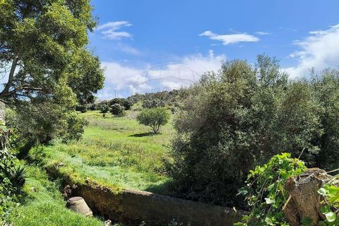 Farm hus i Lagoa, Faro, Lagoa - € 1.350.000 | Ref: 122881304-12 - foto 9