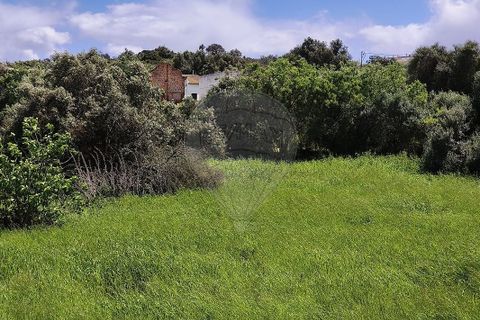 Farm hus i Lagoa, Faro, Lagoa - € 1.350.000 | Ref: 122881304-12 - foto 10