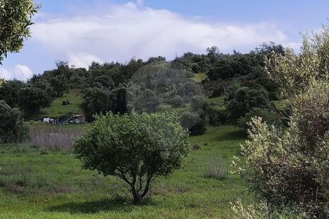 Farm hus i Lagoa, Faro, Lagoa - € 1.350.000 | Ref: 122881304-12 - foto 11