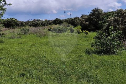 Farm hus i Lagoa, Faro, Lagoa - € 1.350.000 | Ref: 122881304-12 - foto 12