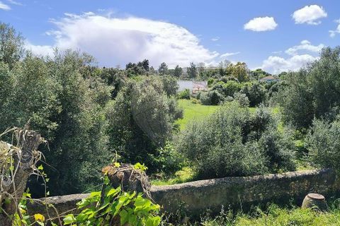 Farm hus i Lagoa, Faro, Lagoa - € 1.350.000 | Ref: 122881304-12 - foto 13