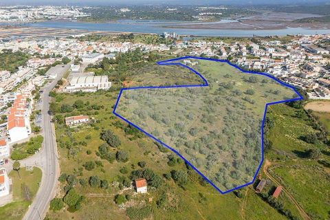 Farm hus i Lagoa, Faro, Lagoa - € 1.350.000 | Ref: 122881304-12 - foto 19