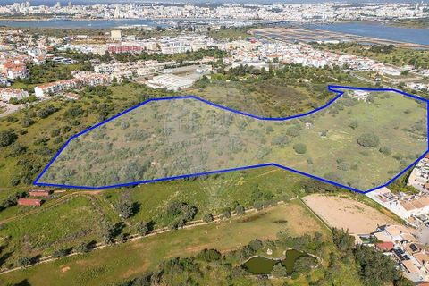 Farm hus i Lagoa, Faro, Lagoa - € 1.350.000 | Ref: 122881304-12 - foto 20