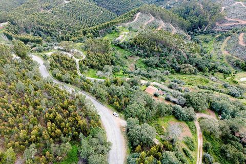 Villa i Monchique, Faro, Monchique - € 260.000 | Ref: 122881182-28 - foto 8