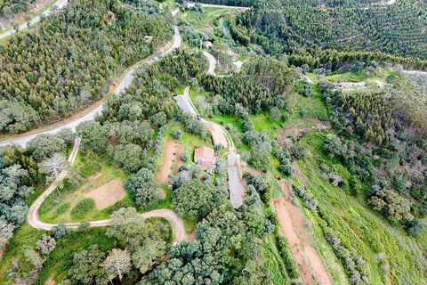 Villa i Monchique, Faro, Monchique - € 260.000 | Ref: 122881182-28 - foto 9