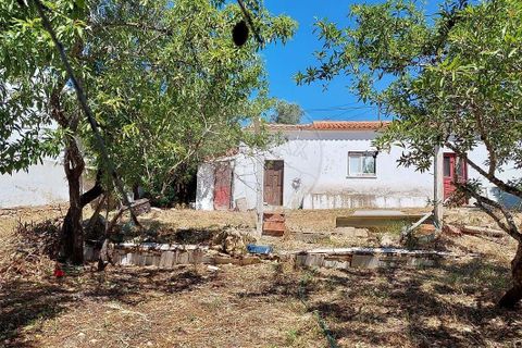 Farm hus i Lagos, Faro, Lagos - € 800.000 | Ref: 122881349-4 - foto 3