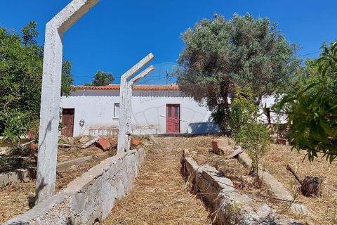 Farm hus i Lagos, Faro, Lagos - € 800.000 | Ref: 122881349-4 - foto 4