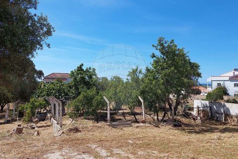 Farm hus i Lagos, Faro, Lagos - € 800.000 | Ref: 122881349-4 - foto 6