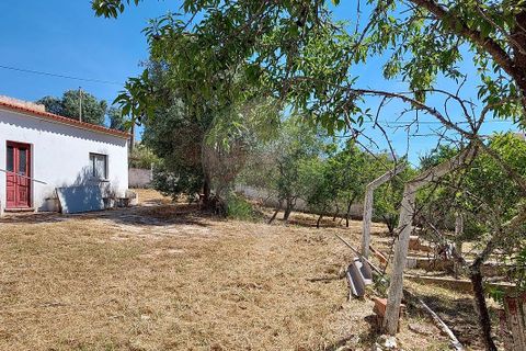 Farm hus i Lagos, Faro, Lagos - € 800.000 | Ref: 122881349-4 - foto 7