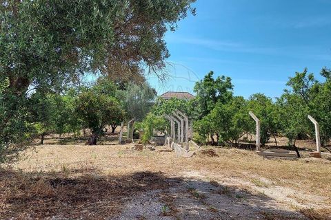 Farm hus i Lagos, Faro, Lagos - € 800.000 | Ref: 122881349-4 - foto 8