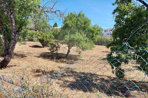 Farm hus i Lagos, Faro, Lagos - € 800.000 | Ref: 122881349-4 - foto 9