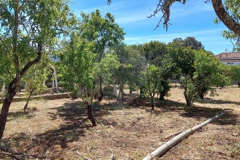 Farm hus i Lagos, Faro, Lagos - € 800.000 | Ref: 122881349-4 - foto 10