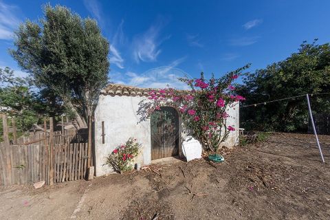 Farm hus i Lagos, Faro, Lagos - € 1.850.000 | Ref: 122881178-137 - foto 10