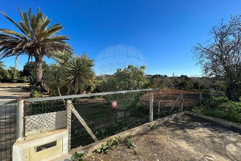 Villa i Lagoa, Faro, Lagoa - € 1.150.000 | Ref: 122881182-20 - foto 4