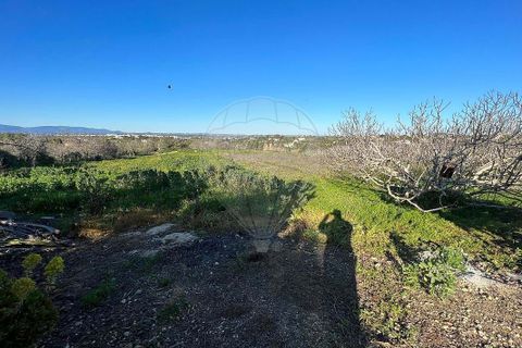 Villa i Lagoa, Faro, Lagoa - € 1.150.000 | Ref: 122881182-20 - foto 6