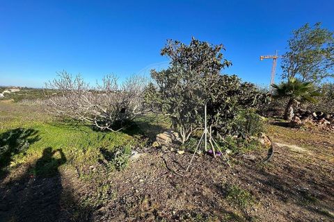 Villa i Lagoa, Faro, Lagoa - € 1.150.000 | Ref: 122881182-20 - foto 7