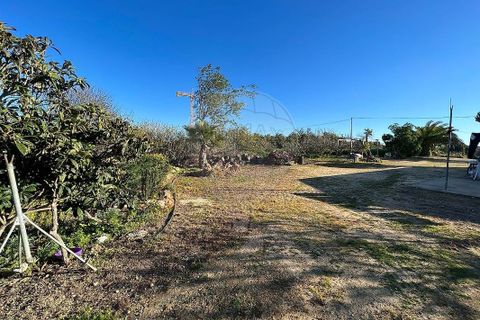 Villa i Lagoa, Faro, Lagoa - € 1.150.000 | Ref: 122881182-20 - foto 8