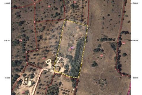Villa i Lagoa, Faro, Lagoa - € 1.150.000 | Ref: 122881182-20 - foto 12