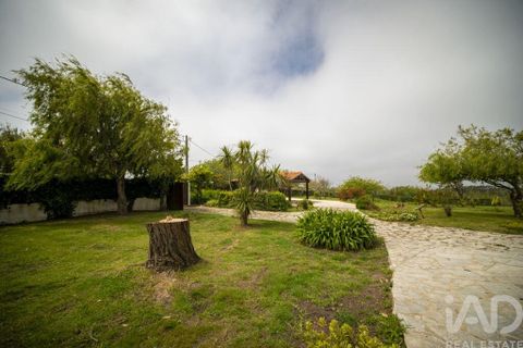 Farm i Nazare, Leiria, Nazare - € 599.000 | Ref: 882471 - foto 35