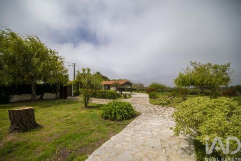 Farm i Nazare, Leiria, Nazare - € 599.000 | Ref: 882471 - foto 37
