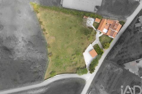 Farm i Nazare, Leiria, Nazare - € 599.000 | Ref: 882471 - foto 40