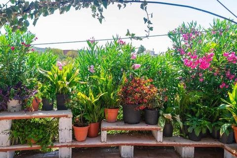Villa a Sedella, Malaga, Sedella - € 225.000 | Ref: CP411 - foto 5