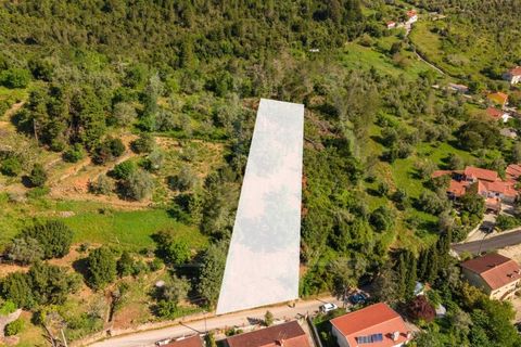 Helårsgrund i Assafarge e Antanhol, Coimbra, Assafarge e Antanhol - € 75.000 | Ref: LUX_CB-01412 - foto 4