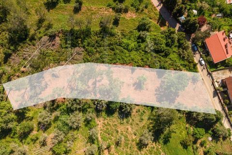 Helårsgrund i Assafarge e Antanhol, Coimbra, Assafarge e Antanhol - € 75.000 | Ref: LUX_CB-01412 - foto 6
