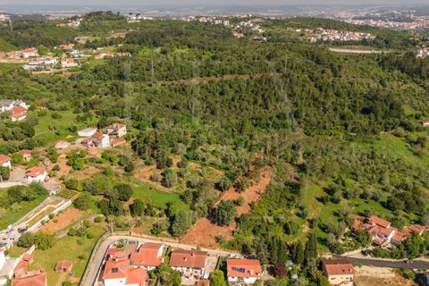 Helårsgrund i Assafarge e Antanhol, Coimbra, Assafarge e Antanhol - € 75.000 | Ref: LUX_CB-01412 - foto 8
