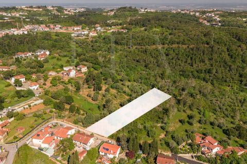 Helårsgrund i Assafarge e Antanhol, Coimbra, Assafarge e Antanhol - € 75.000 | Ref: LUX_CB-01412 - foto 11