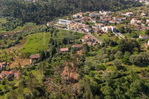 Helårsgrund i Assafarge e Antanhol, Coimbra, Assafarge e Antanhol - € 75.000 | Ref: LUX_CB-01412 - foto 14