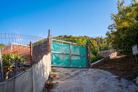 Landejendom i Almunecar, Granada, Almunecar - € 134.000 | Ref: 736 - foto 13