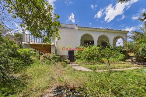 Villa i Pinar De Campoverde, Alicante, Pinar De Campoverde - € 255.000 | Ref: OKP2200 - foto 24